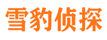 阜康寻人公司